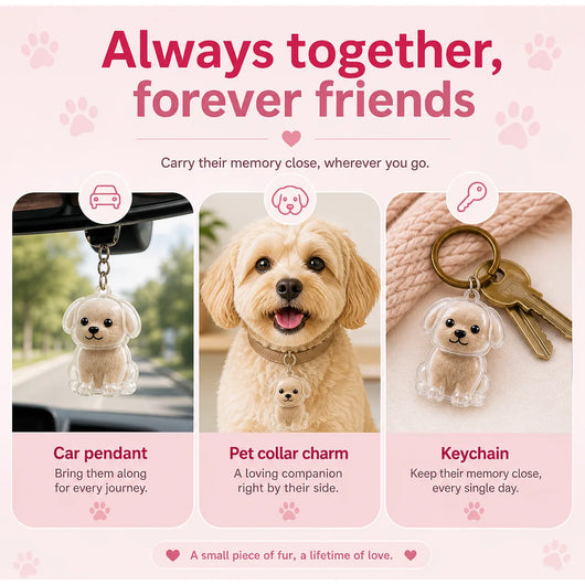 Three ways to carry the PawKeep: car pendant, pet collar charm, keychain