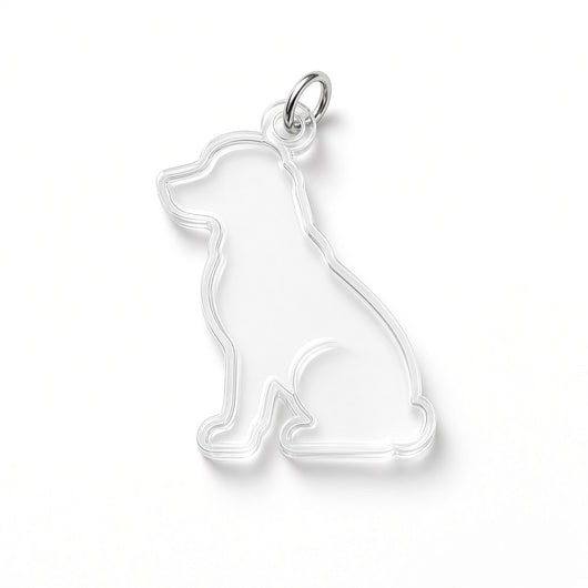 Empty clear pet fur keychain shell